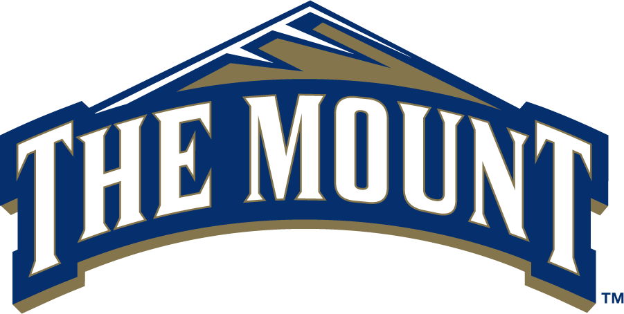 Mount St. Marys Mountaineers 2006-2016 Primary Logo iron on transfers for clothing
